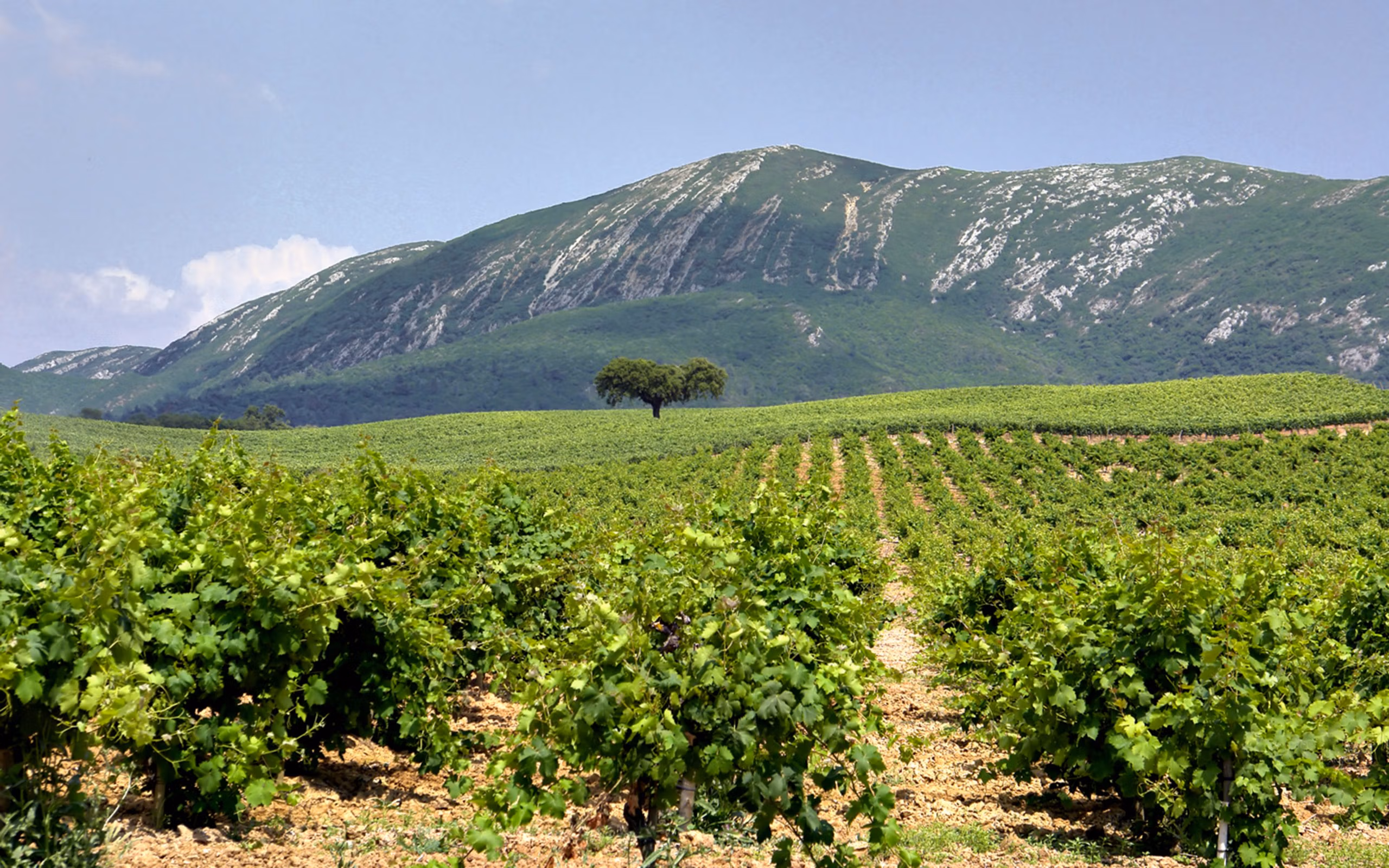 Península de Setúbal