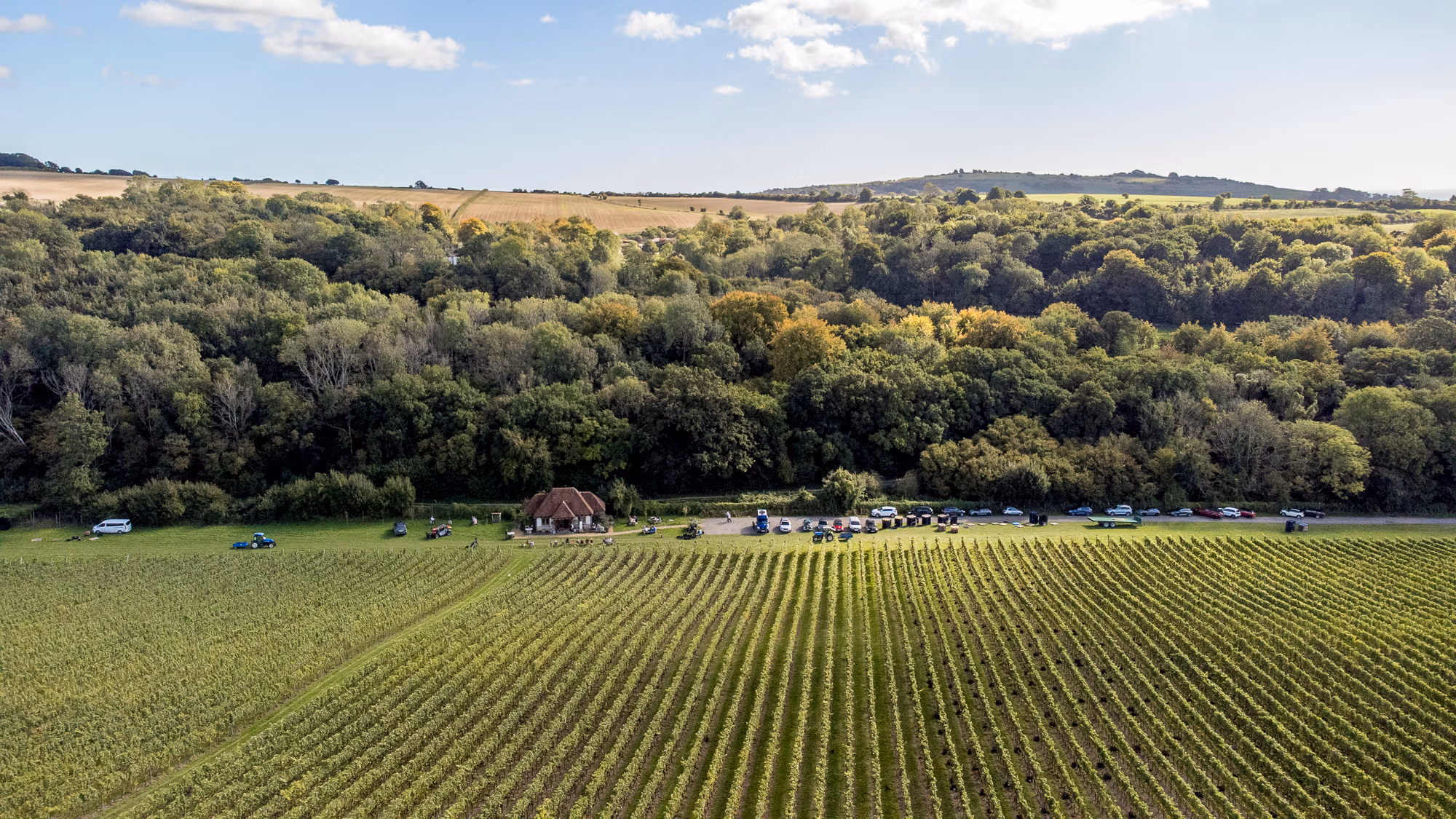 Wiston Estate