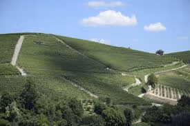 Camestrì