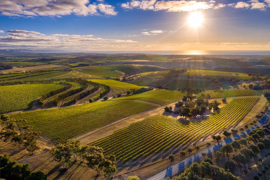 McLaren Vale