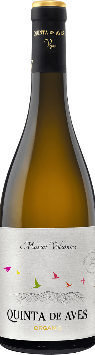 Quinta de Aves Muscat Volcanico Bio 2025 – aromatischer spanischer Muscat Weißwein aus vulkanischen Böden, fruchtig und elegant.