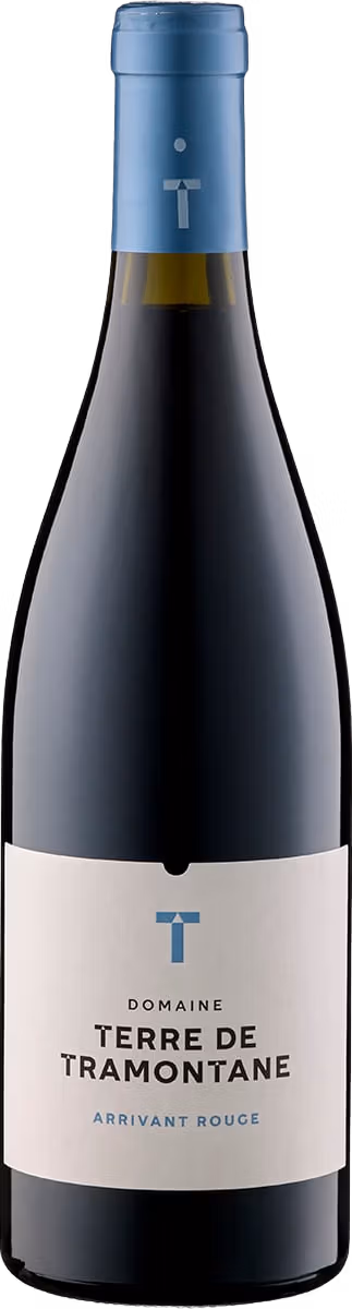 Domaine Terre de Tramontane - Arrivant Rouge AOP - Bio