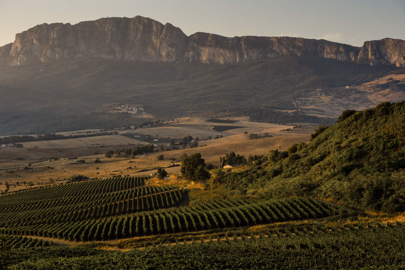 Tenuta Ficuzza
