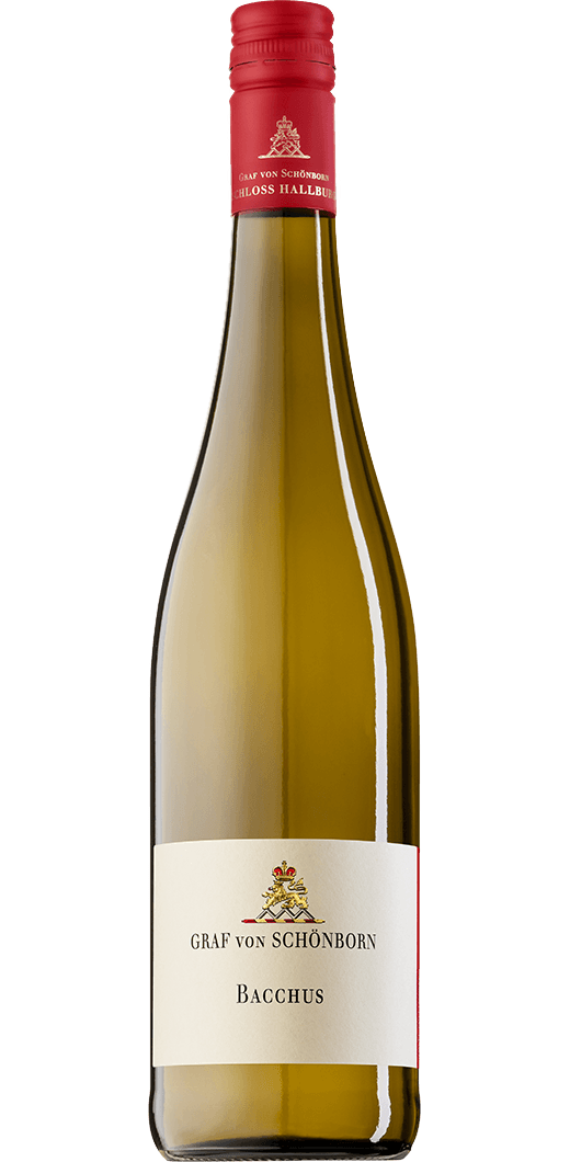 Schloss Hallburg - Bacchus Gutswein feinherb 2023 - Schloss Hallburg