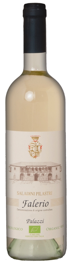 Saladini Pilastri - Falerio Vigna Palazzi" DOC - Saladini Pilastri"