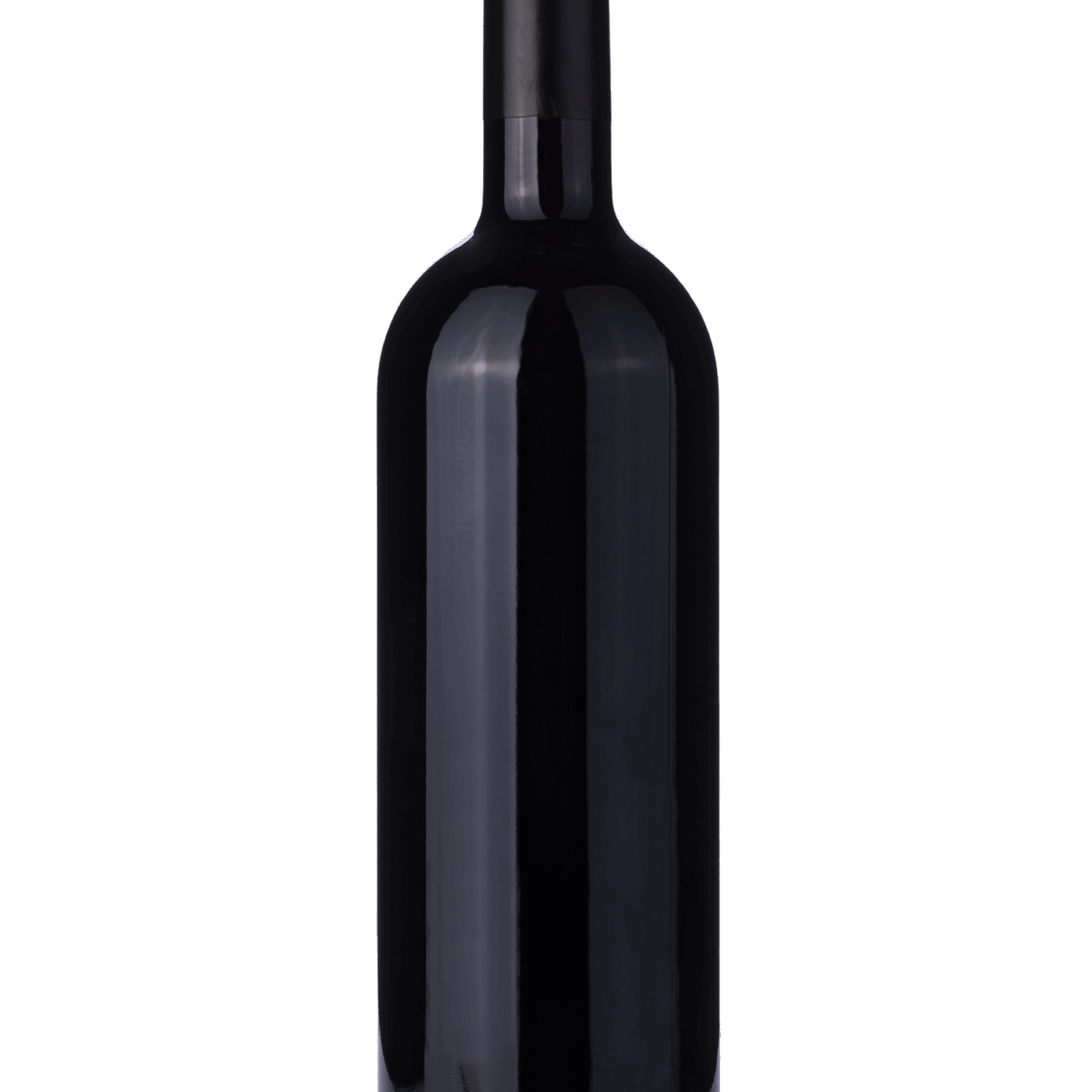 Dein Weinshop 122 Le Contesse - Le Contesse Prosecco Doc Extra Dry