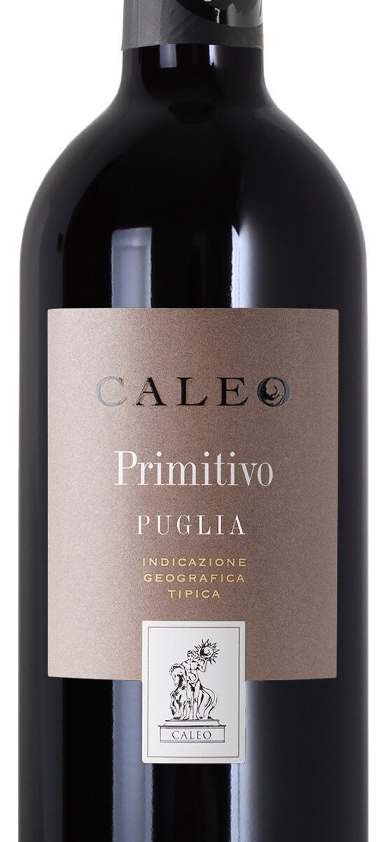 - Primitivo Puglia 2023 IGT