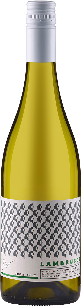 170136 Cantina Puianello - Lambrusco Bianco Amabile Igp – Bild 1
