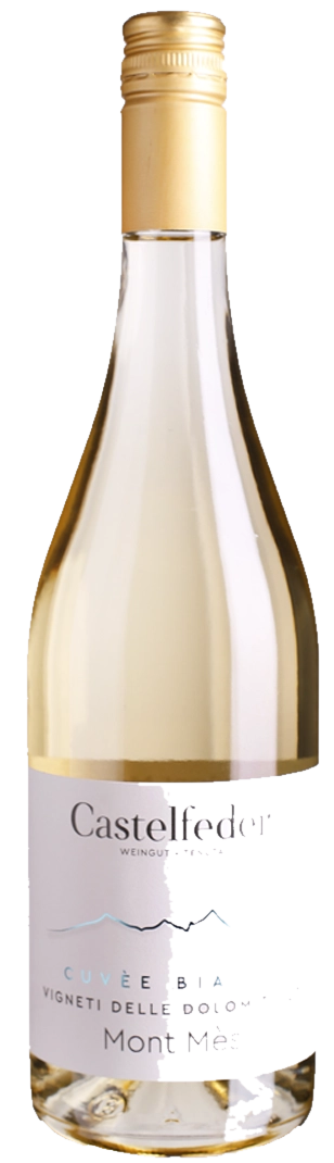 Castelfeder-Cuve-Bianco-Igt-Mont-Ms-Dv Castelfeder - Cuvée Bianco &Amp;Quot;Mont Més&Amp;Quot; – Bild 1