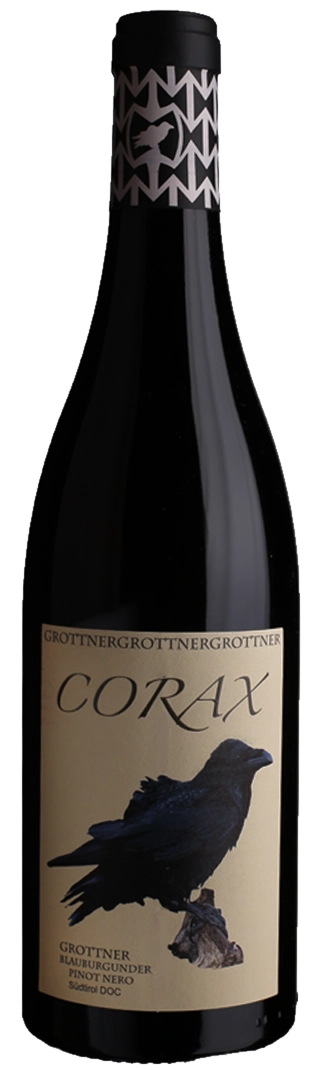 Grottnerhof-Blauburgunder-Doc-Corax Weingut Grottnerhof - Blauburgunder Doc Corax – Bild 1