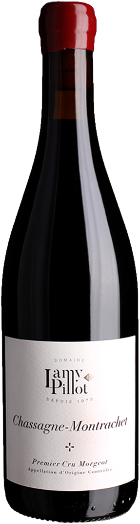 Lamy Pillot - Chassagne-Montrachet Rouge 1er Cru "Morgeot"