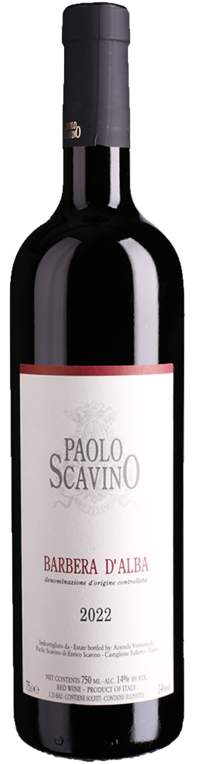 Paolo Scavino - Barbera d'Alba DOC