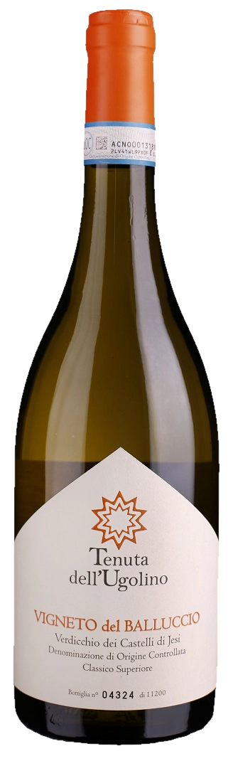 Tenuta dell'Ugolino - Verdicchio dei Castelli di Jesi Classico Superiore DOC Balluccio