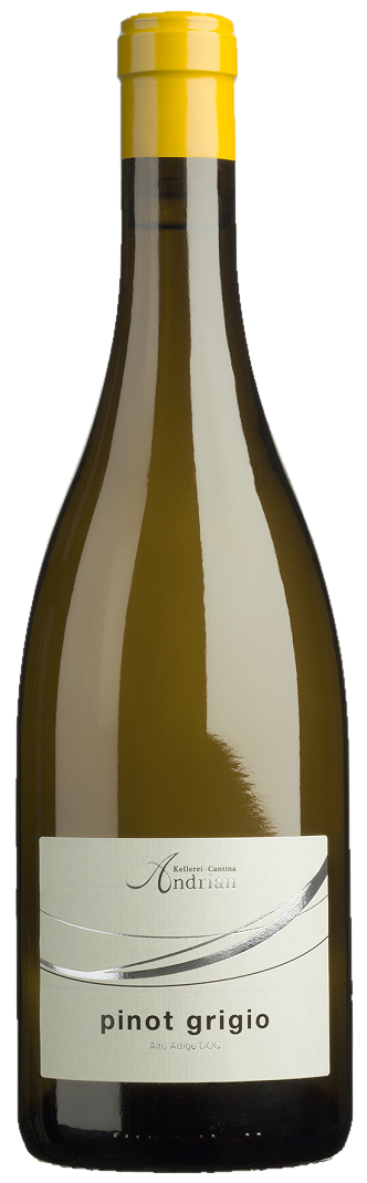 Kellerei Andrian - Pinot Grigio DOC