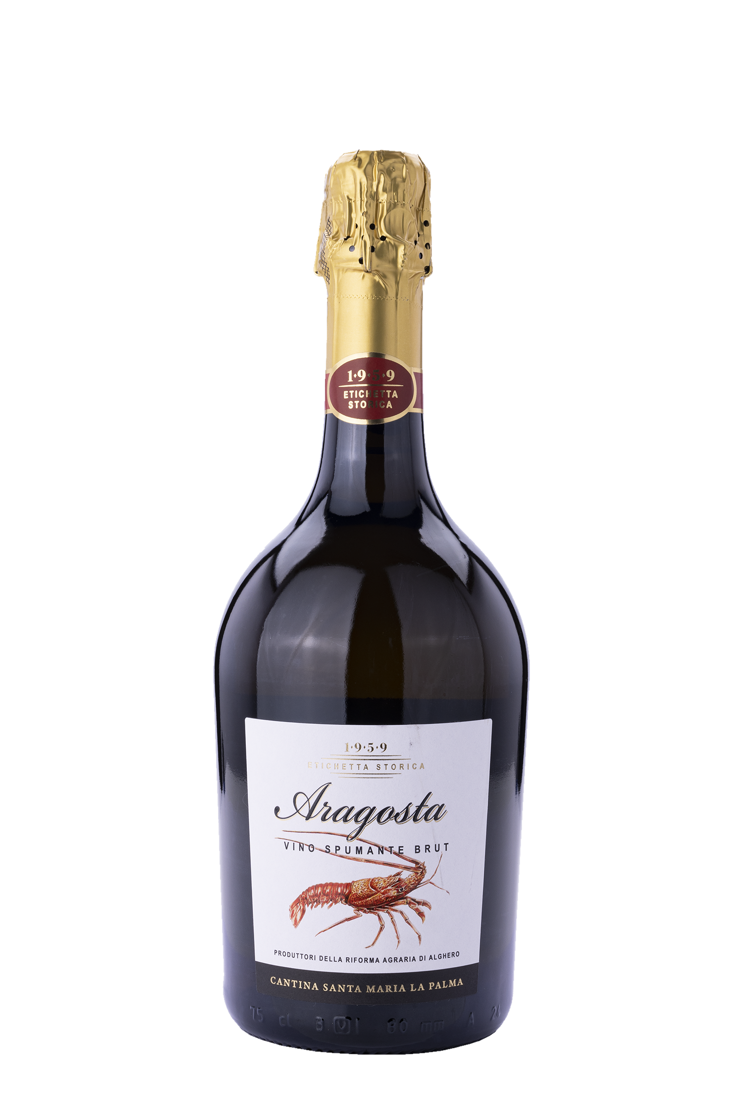 Vino Spumante Brut Aragosta - Santa Maria La Palma Vino Spumante Brut Aragosta - Santa Maria La Palma – Bild 1