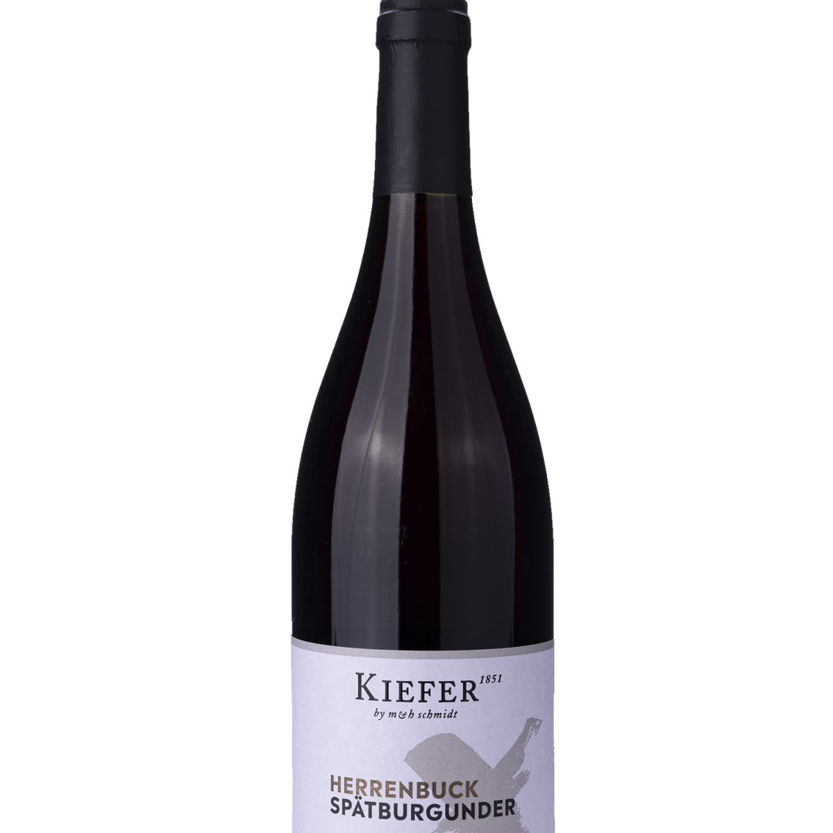Eichstetter Herrenbuck Spätburgunder 2019 - Weingut Friedrich Kiefer