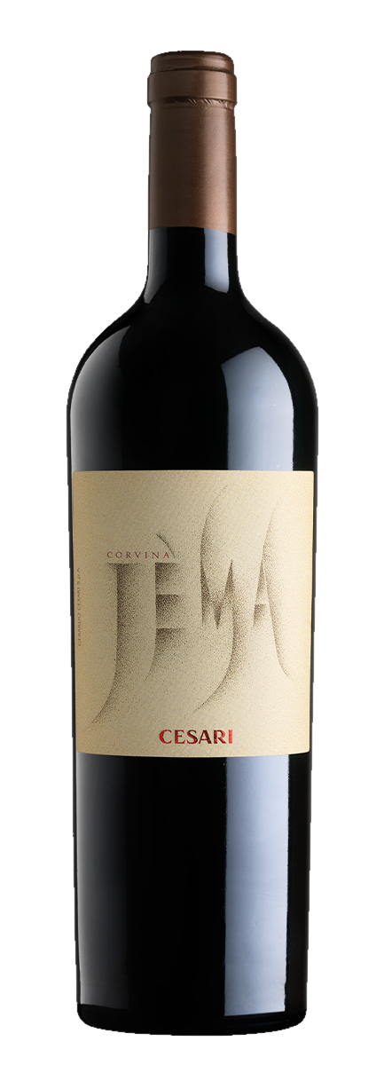 Jèma Corvina Veronese IGT 2016