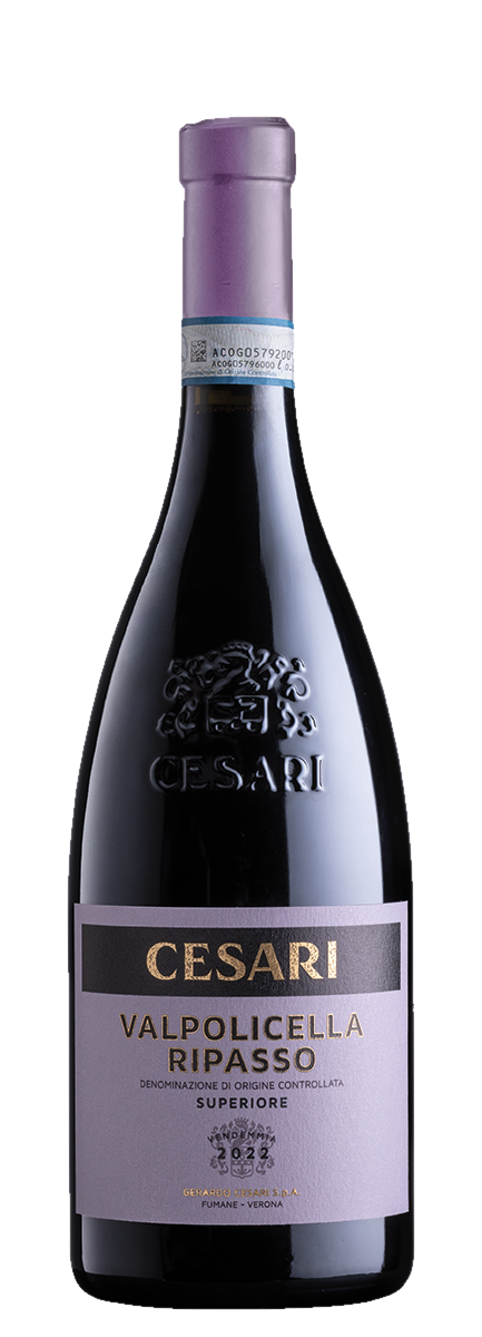 Valpolicella Ripasso DOC Superiore 2021