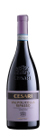 Valpolicella Ripasso DOC Superiore 2021