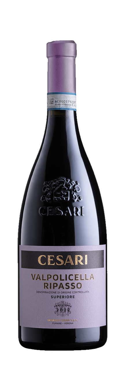 Valpolicella Ripasso Doc Superiore 2021 Valpolicella Ripasso Doc Superiore 2021 – Bild 1