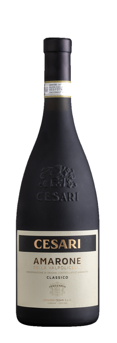 Amarone Della Valpolicella Docg Classico 2019 – Bild 1