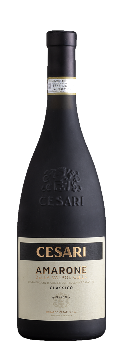 Amarone della Valpolicella DOCG Classico 2019