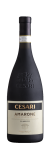 Amarone della Valpolicella DOCG Classico 2019