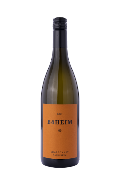 Chardonnay 2023 - Weingut Böheim Chardonnay 2023 - Weingut Böheim – Bild 1