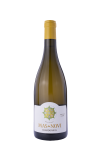 Chardonnay fût 2024 BIO - Mas du Novi