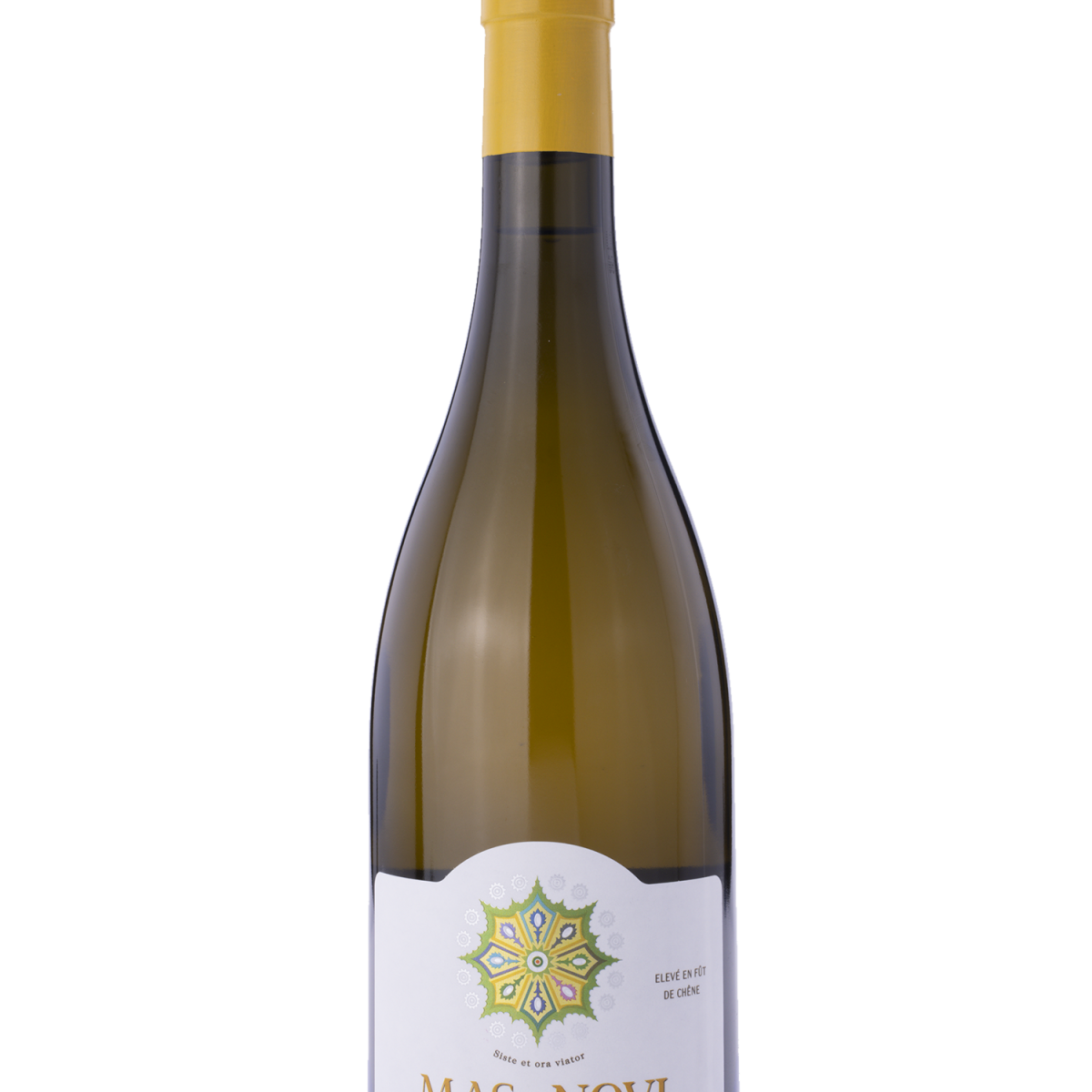Chardonnay fût 2024 BIO - Mas du Novi