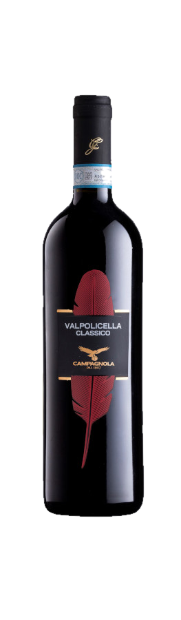 Valpolicella Classico 2022 - Campagnola