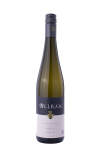 Grüner Veltliner Ried Hasel 2024- Weingut Allram