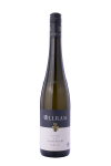 Riesling Ried Gaisberg 1. Lage 2020 - Weingut Allram