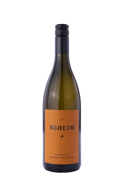 Grüner Veltliner 2024 - Weingut Böheim – Bild 1
