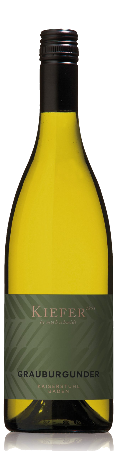 Eichstetter Herrenbuck Grauburgunder - Weingut Friedrich Kiefer Eichstetter Herrenbuck Grauburgunder - Weingut Friedrich Kiefer – Bild 1