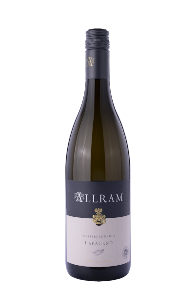 Weissburgunder Papageno 2024 - Weingut Allram Weissburgunder Papageno 2024 - Weingut Allram – Bild 1