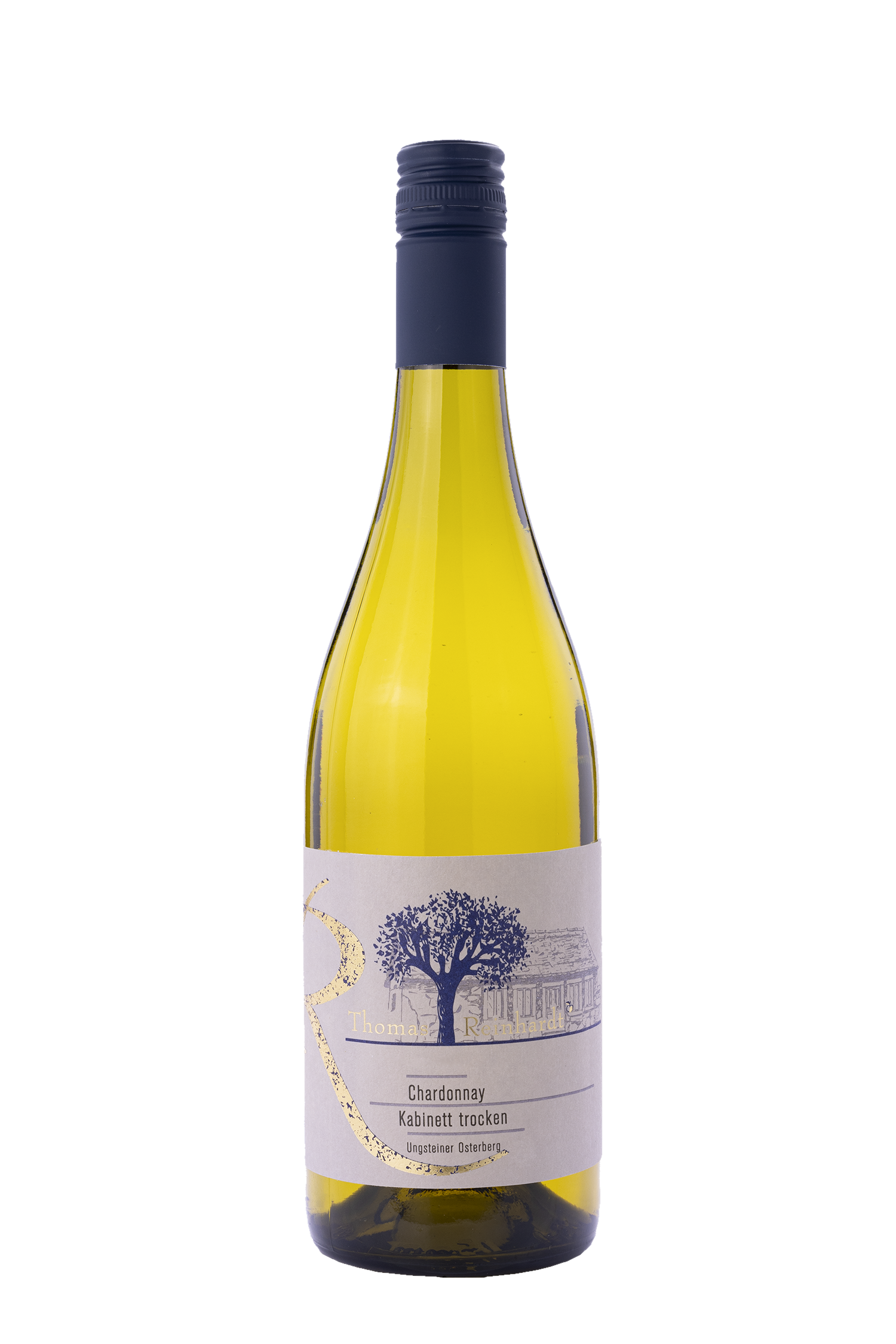 Ungsteiner Osterberg Chardonnay Kabinett Trocken 2024 - Weingut Thomas Reinhardt Ungsteiner Osterberg Chardonnay Kabinett Trocken 2024 - Weingut Thomas Reinhardt – Bild 1