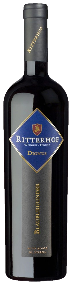 Ritterhof – Blauburgunder Dop Dignus Ritterhof - Blauburgunder Dop Dignus – Bild 1