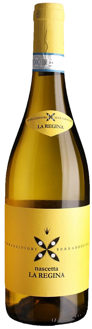 Braida – Langhe Bianco Doc La Regina Nascetta Braida - Langhe Bianco Doc La Regina Nascetta – Bild 1