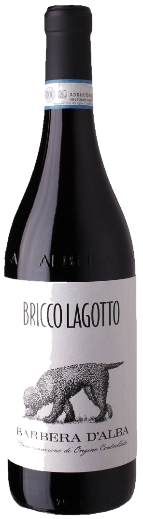Bricco Lagotto – Barbera Piemonte Doc Bricco Lagotto - Barbera Piemonte Doc – Bild 1
