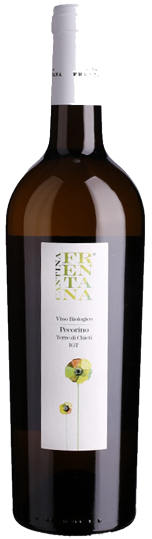 Cantina Frentana – Pecorino Terre Di Chieti Cantina Frentana - Pecorino Terre Di Chieti – Bild 1