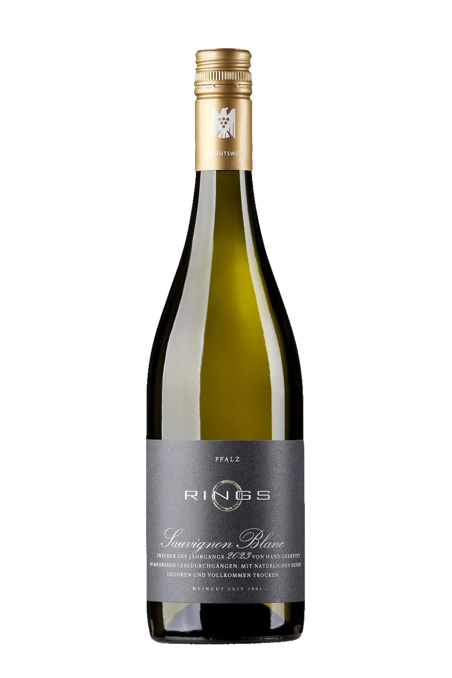Sauvignon Blanc 2024 - Weingut Rings Sauvignon Blanc 2024 - Weingut Rings – Bild 1