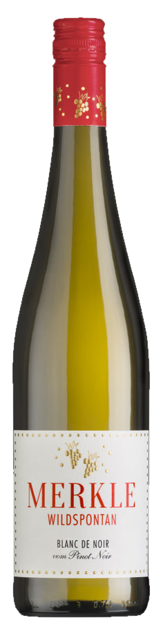 Blanc De Noir 2023, Weingut Merkle Blanc De Noir 2023, Weingut Merkle – Bild 1