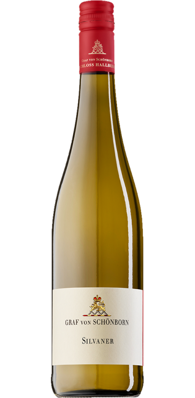 Silvaner Gutswein Trocken 2025 - Schloss Hallburg Silvaner Gutswein Trocken 2025 - Schloss Hallburg – Bild 1