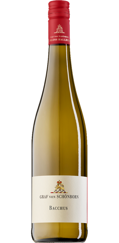 Bacchus Gutswein Feinherb 2025 - Schloss Hallburg Bacchus Gutswein Feinherb 2025 - Schloss Hallburg – Bild 1
