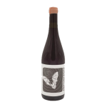 Fledermaus 2023 - 2Naturkinder