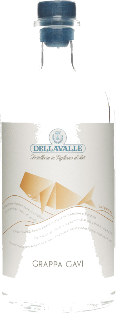 Grappa Di Gavi Grappa Di Gavi – Bild 1