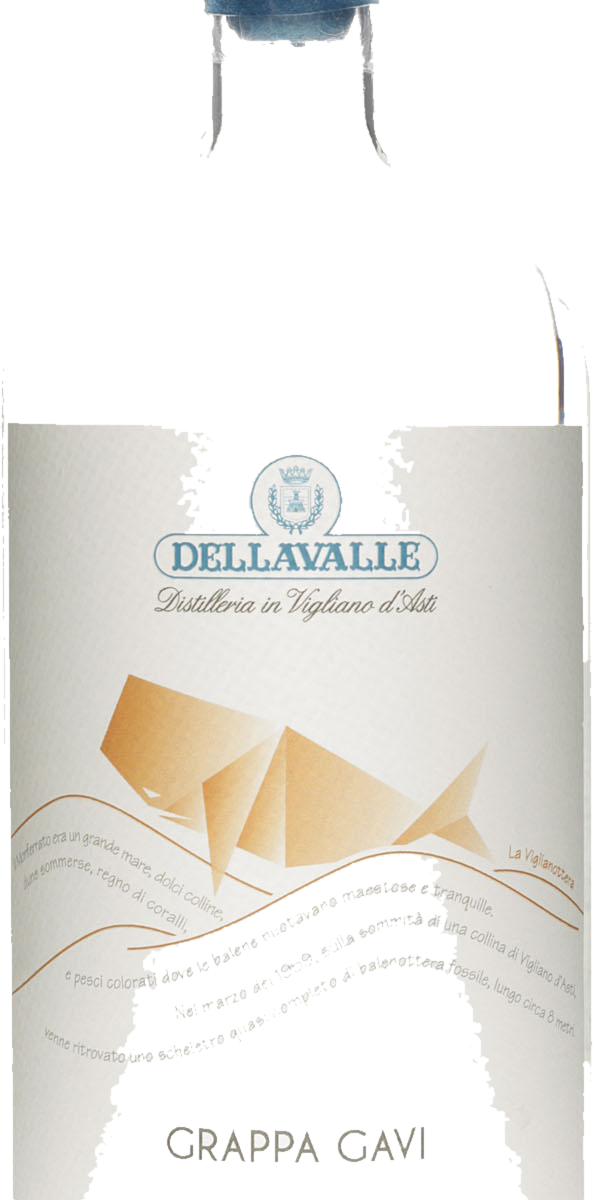 Grappa di Gavi