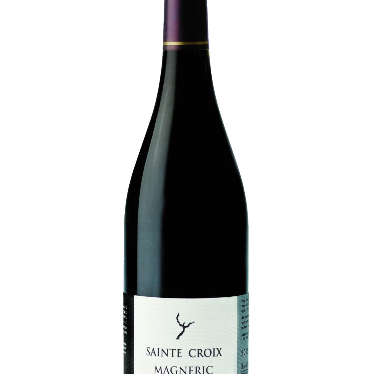 Corbières Magneric BIO 2019 AC