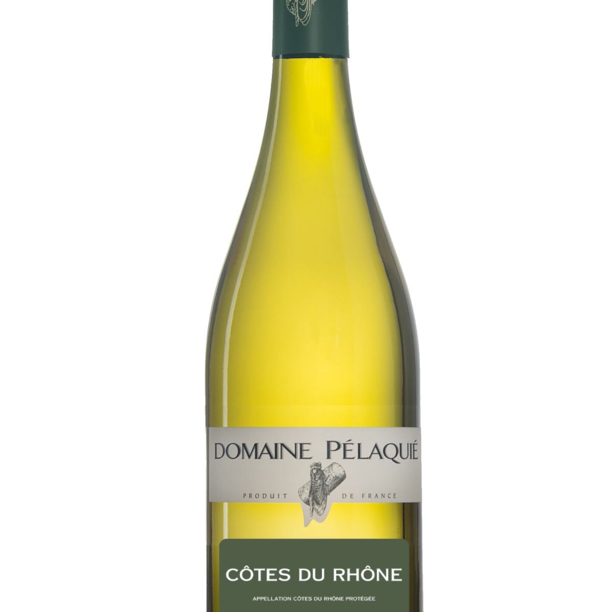 Côtes du Rhône blanc 2024 AC
